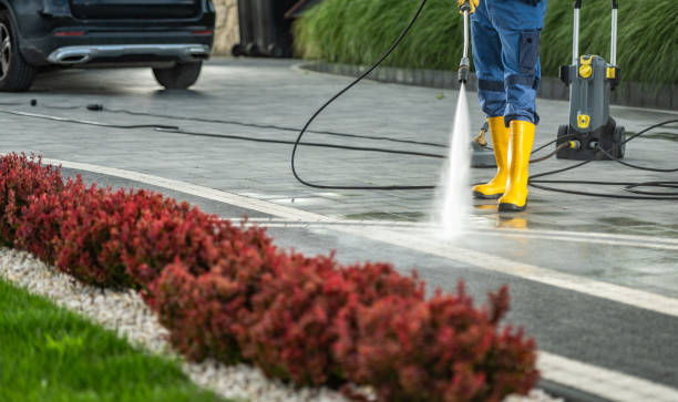 Best Solar Panel Cleaning  in Mcguire Af, NJ