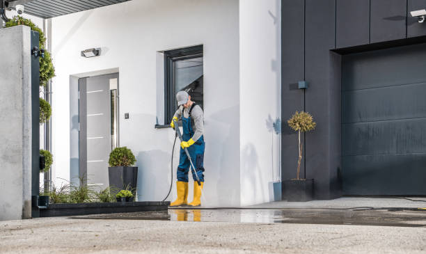Best Pre-Holiday Cleaning  in Mcguire Af, NJ