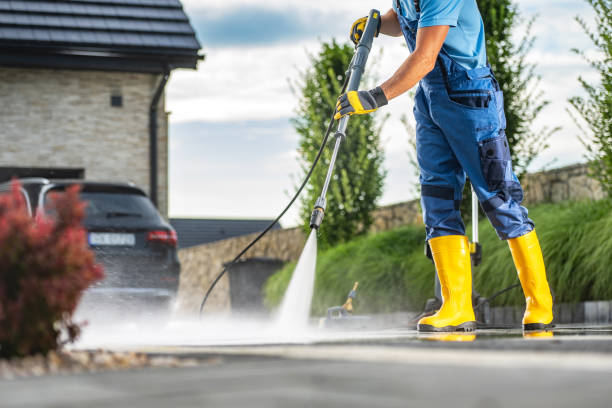 Best Driveway Pressure Washing  in Mcguire Af, NJ